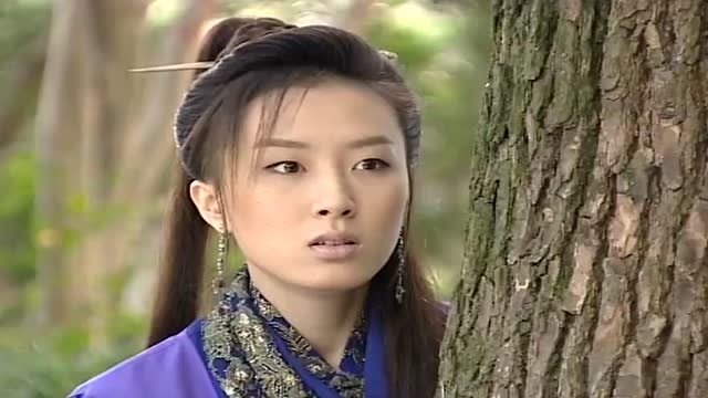 无敌县令:寒星得知皇上乃杀父仇人后,精心准备侍机报杀父之仇!