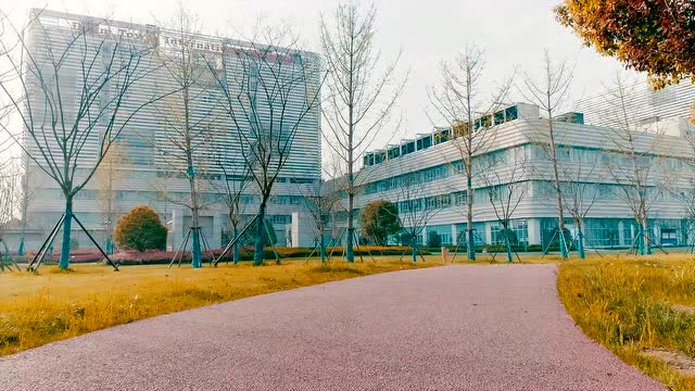 鼓楼医院江北国际医院