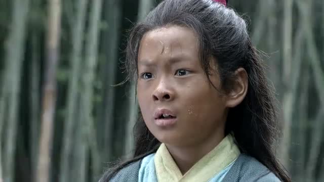 《开封府》小包拯亲眼看到大哥被贪官冤枉而死,立志要读书