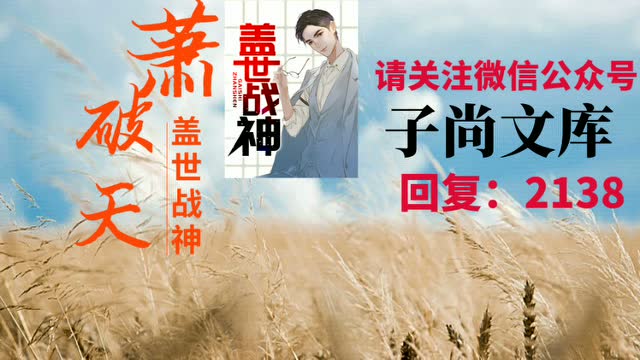 盖世战神萧破天楚雨馨