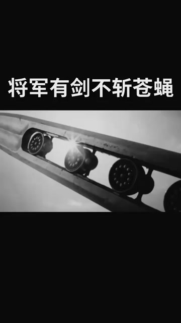 将军有剑不斩苍蝇