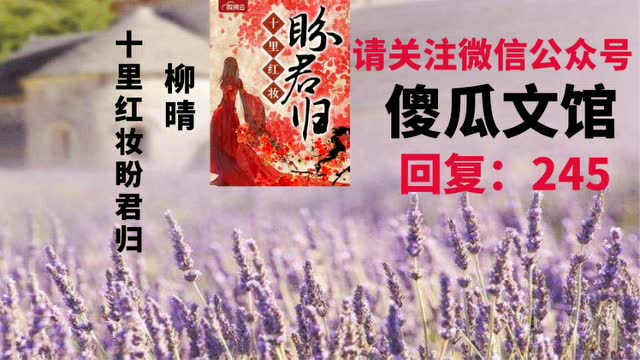 十里红妆盼君归柳晴秦少寒春雷炮免费全文