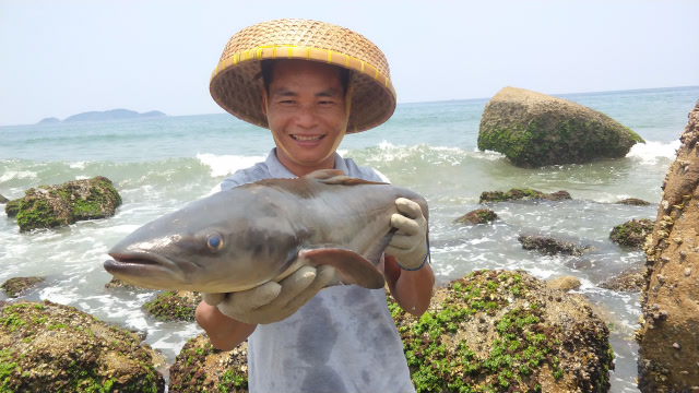 小渔翁今天赶海运气大爆发,遇到一条十几斤重的大货,这次赚大了