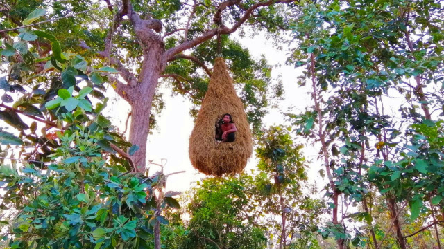 农村小伙太牛了,把房子倒挂在树上,让人叹为观止