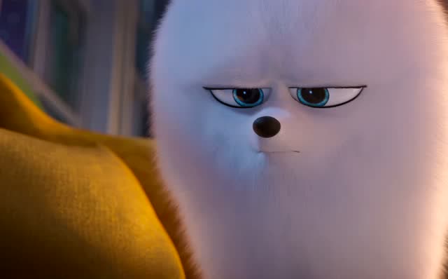 爱宠大机密啾啾把小蜜蜂弄丢了它要把小蜜蜂找回来