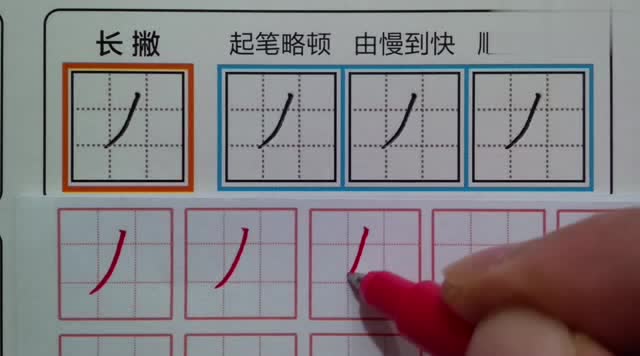 笔画撇在田字格的写法,看完老师的示范你学会了吗