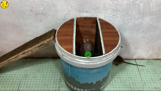 小伙用水桶diy的捕鼠器,本以为没啥效果,看到最后我服了