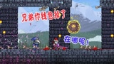 天铭 泰拉瑞亚 女巫与真实MOD 93 月教至尊 请不要膜拜我