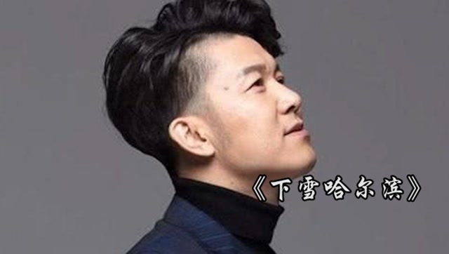 唱作人高进深情演唱下雪哈尔滨获网友力挺引起共鸣