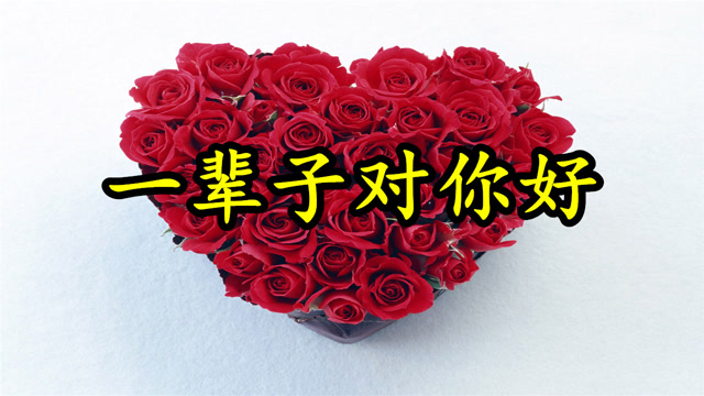 情歌mv:《一辈子对你好》永远把我当成宝,会用心对你好