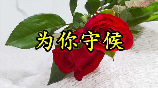 情歌mv:《为爱守候》舍不得你走,你说过陪我天长地久