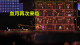 泰拉瑞亚20：又遇见血月，但这次血月竟然刷新狼人了
