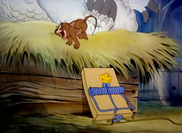 猫和老鼠:汤姆把夹子放到母鸡屁股下,却夹到自己尾巴,疼的狂叫