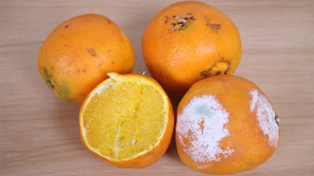 烂橙子你家有吗?我也是刚知道,后悔知道晚了,告诉家人,越快越好