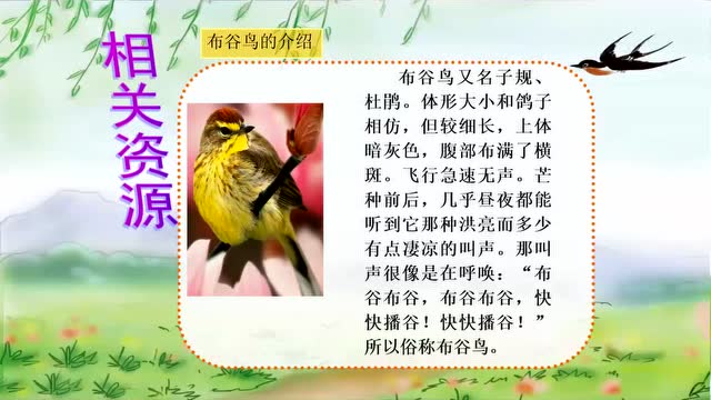 二年级音乐 报春