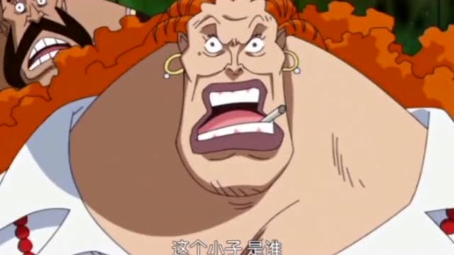 海贼王刀子嘴豆腐心的养母山贼达旦