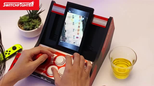 任天堂 switch 配件操作演示-斑鸠