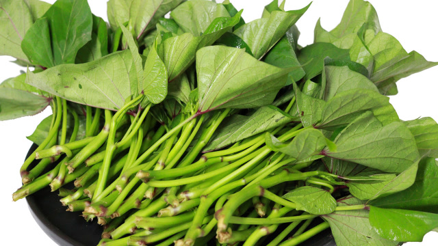 炒红苕尖,好多人不知道技巧,难怪炒出来发黄不脆,诀窍全教你