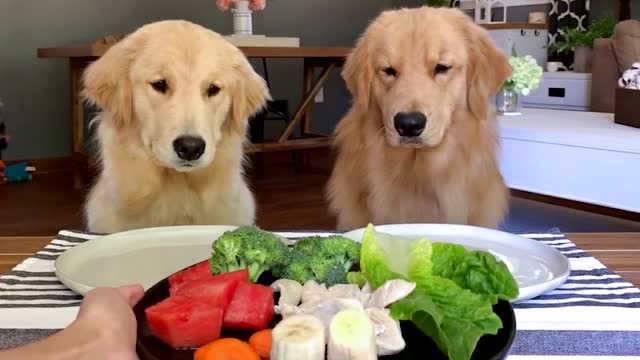 素食主义者给自家狗吃素,还宣称狗子从不吃肉,结果被现场打脸