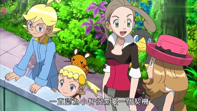 精灵宝可梦:小智又来挑战紫罗兰了,紫罗兰已经得知小智进行了特训