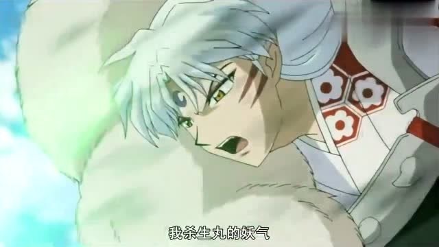 犬夜叉:杀生丸所有苍龙破合集,一次看个够