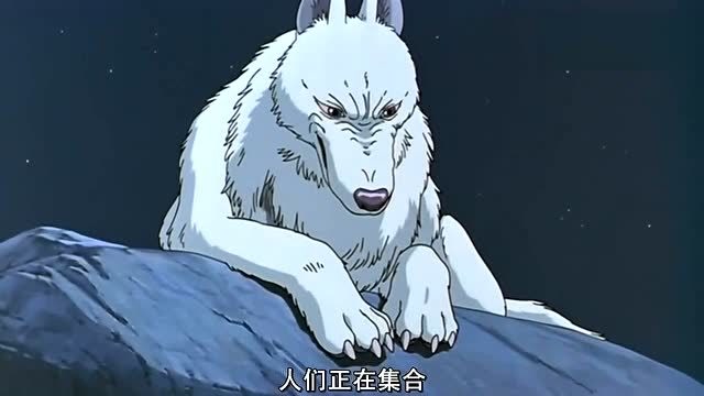 原来幽灵公主是被人类抛弃,后来被白狼神收养,公主其实很可怜