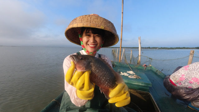 阿渔妹抓到杂交海鲜,对比一看还真不一样,口感也千差万别