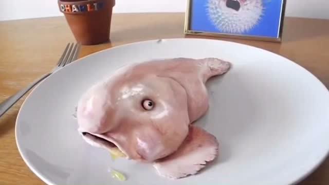 世界上最丑的鱼,全身都脂肪,长着一副哭丧脸!