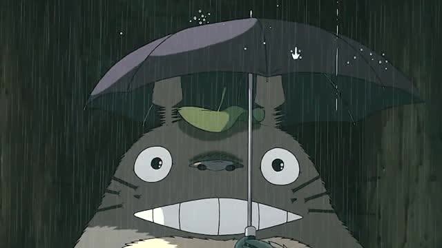 原来龙猫笑起来是这样的,下雨天记得多带把伞借给龙猫哦