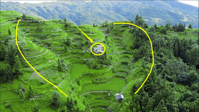龙虎护主,藏风聚气,中间建有个房子,真是个风水宝地.