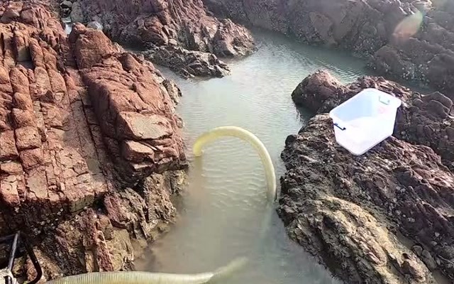 大熊顶着冷空气去赶海抽水坑,遇到鱼群,直呼赚了!