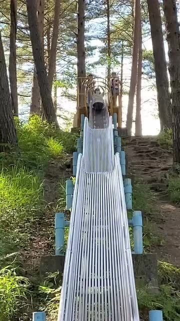 死亡滑滑梯能活着下来的都不是一般人