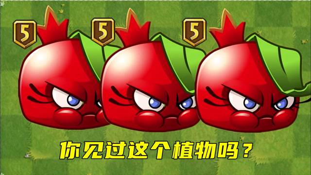 植物大战僵尸2:国际服的爆炸石榴你知道吗!