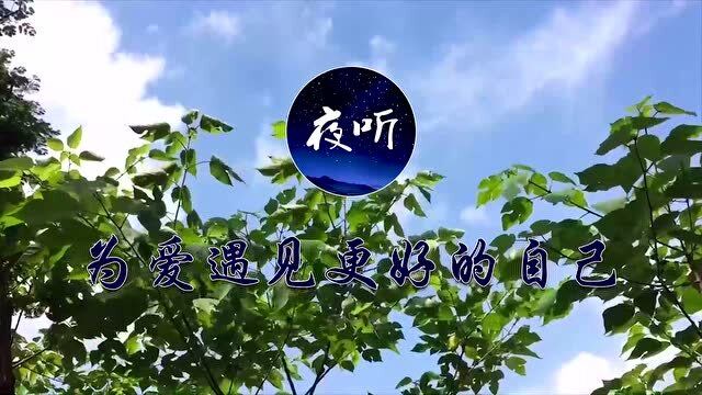 【夜听】心,慢慢变冷