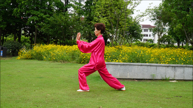 张建萍新编28式太极拳