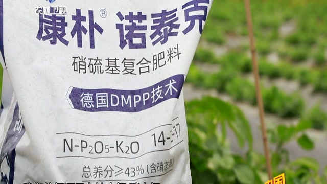 新洋丰:好肥料才能种出好作物,康朴03诺泰克03看得见的好肥料
