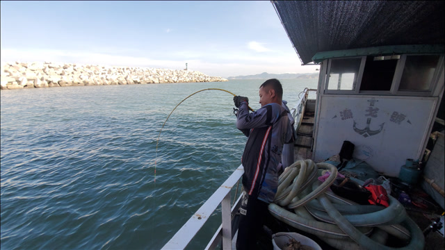 一年没来的赶海宝地,让小明感受到了被大鱼支配的快感,鱼竿弯成九十度