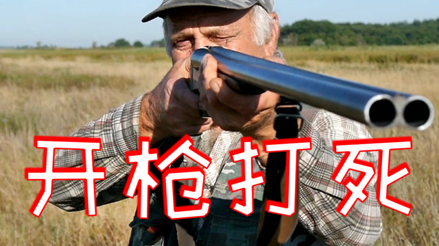 这是美国?男子见义勇为,被赶来的警察开枪打死