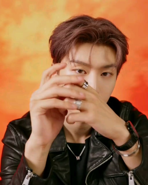 范丞丞x宝格丽广告大片 黑色皮衣 栗子发色搭配经典珠宝和腕表 贵气