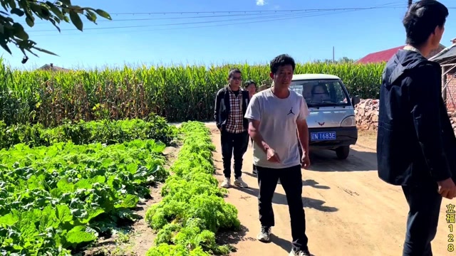 老孟帮忙买几个小猪崽,立福这是干大了要养猪了,主要是太便宜了