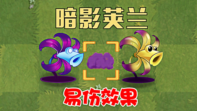 植物大战僵尸:专干坏事的暗影荚兰,怎么样?