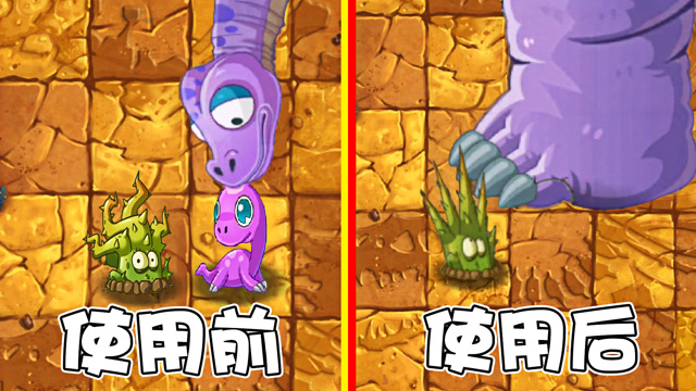 植物大战僵尸胆小荆棘使用前后对比一点都不胆小