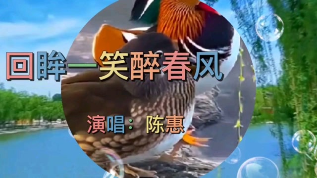一首陈惠的《回眸一笑醉春风》好听醉人