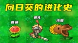 植物大战僵尸：向日葵的进化史，还是从前那个少年吗？