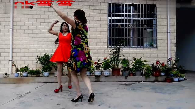 双人舞交谊舞《九九女儿红》