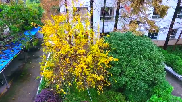 百年校园-无锡市孙桥小学