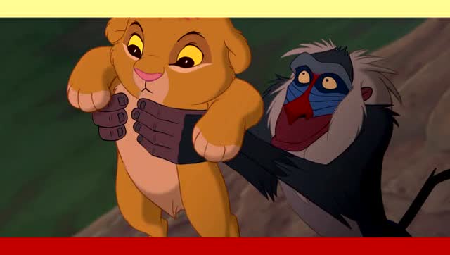 动画片小狮子王的诞生礼