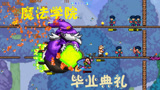天铭 泰拉瑞亚 terraria 汉化版MOD 196 炼金术士的实力！