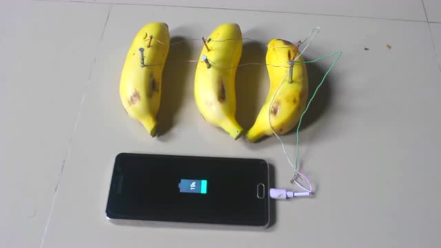 香蕉不仅可以吃还能用来发电,连接三个香蕉就可以给手机充电