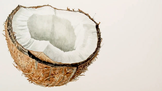 水彩绘画,用水彩画一颗椰子壳,简单色彩的完美搭配造就完美画作